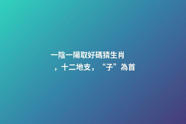 一陰一陽取好碼猜生肖，十二地支，“子”為首